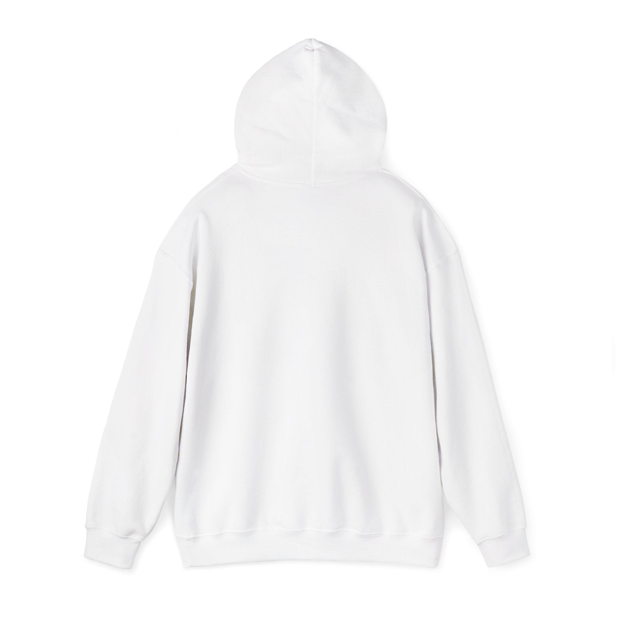 Kitsch Kawaii Chick & Worm Graphic Hoodie - The Quiet Victory (Aesthetic Streetwear Fleece)