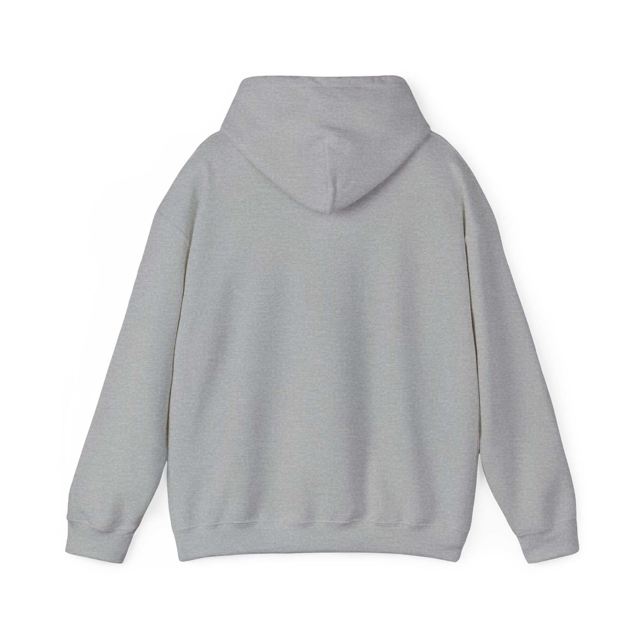 Kitsch Kawaii Chick & Worm Graphic Hoodie - The Quiet Victory (Aesthetic Streetwear Fleece)