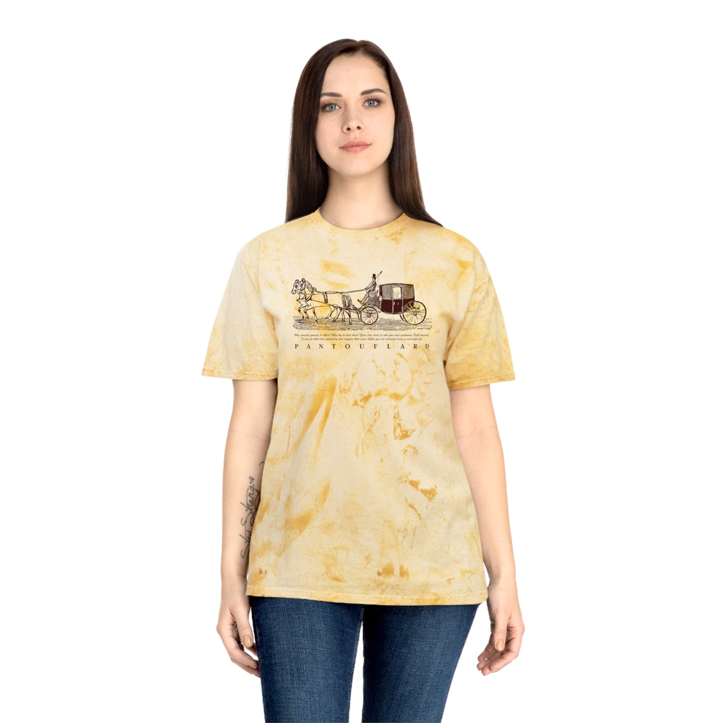 Unisex Grey Color Blast Vintage Carriage Graphic 100% Cotton T-Shirt