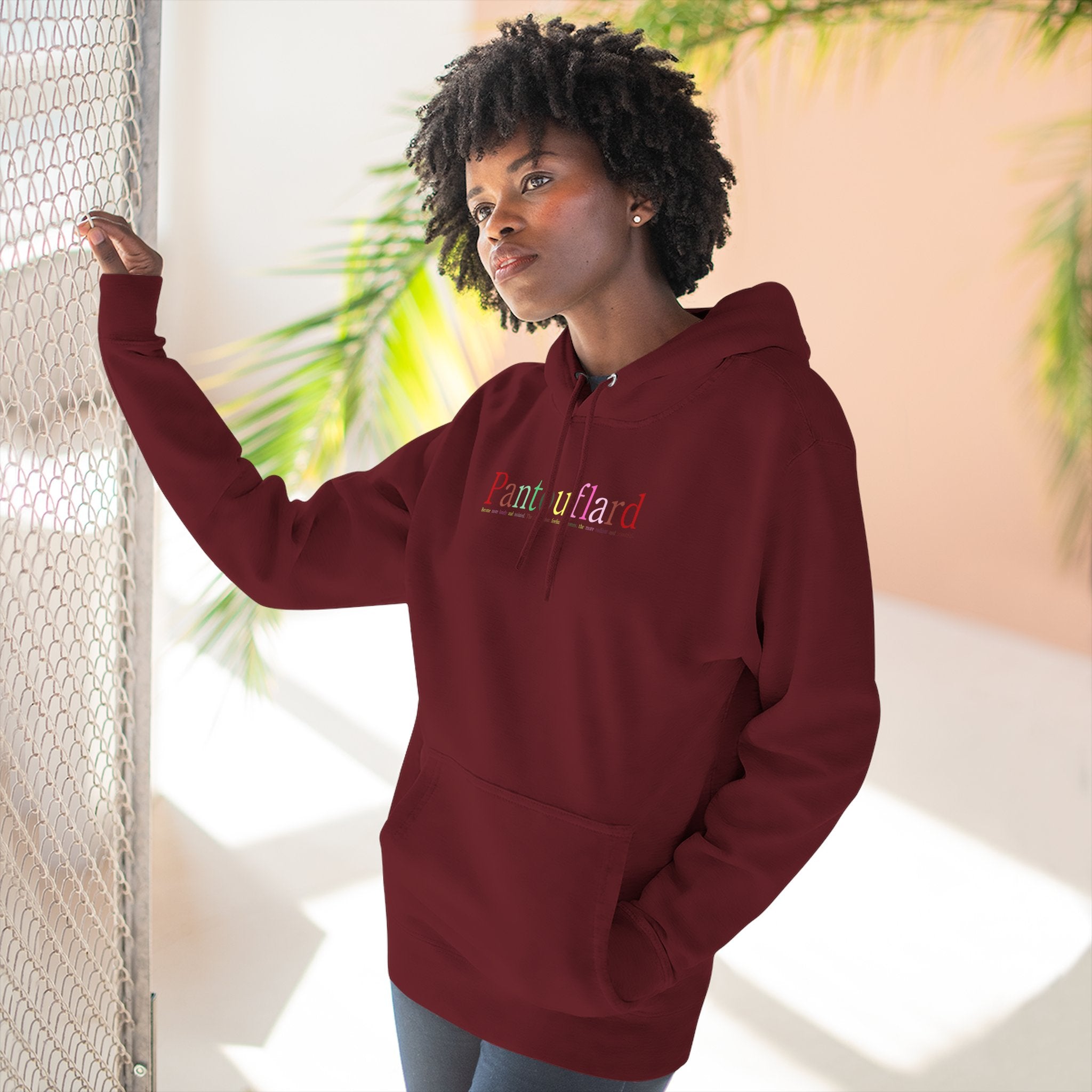 Old Money Aesthetic Premium Hoodie - Pantouflard Colorful Logo (Lane Seven 3-End Fleece)