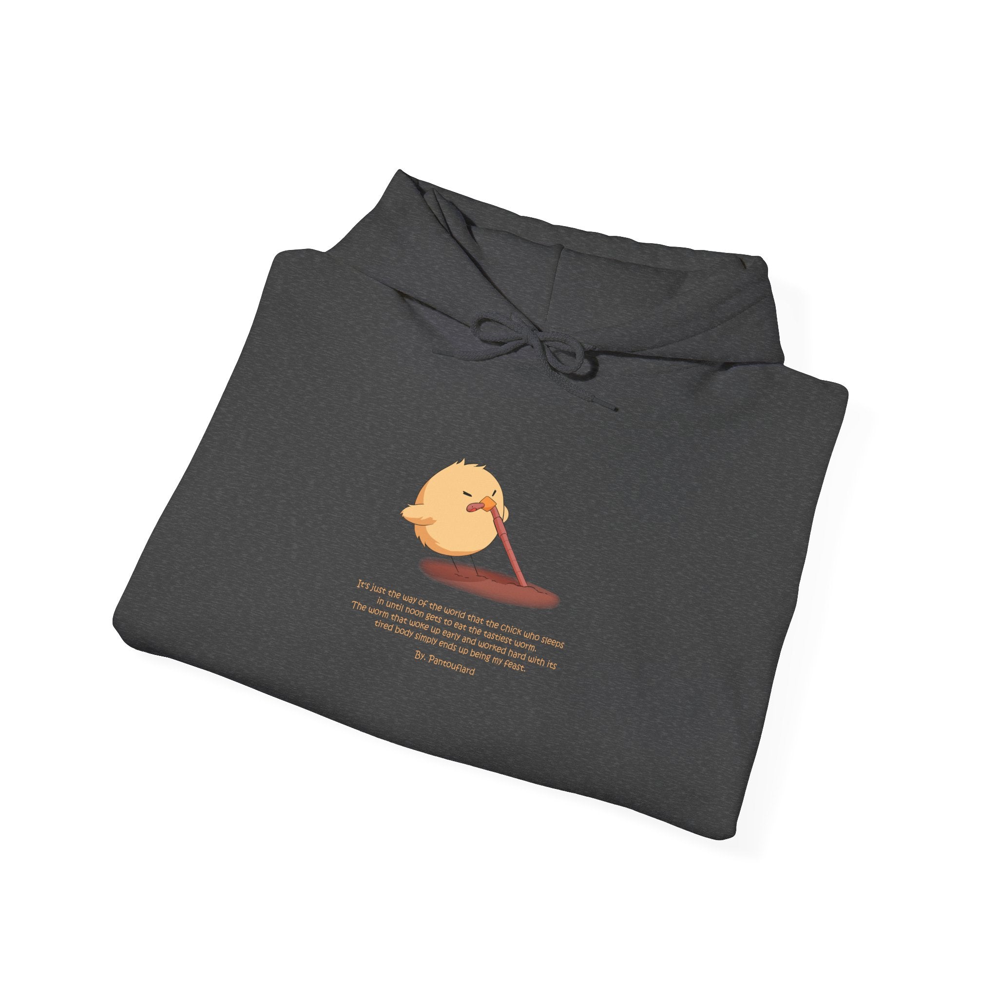Kitsch Kawaii Chick & Worm Graphic Hoodie - The Quiet Victory (Aesthetic Streetwear Fleece)