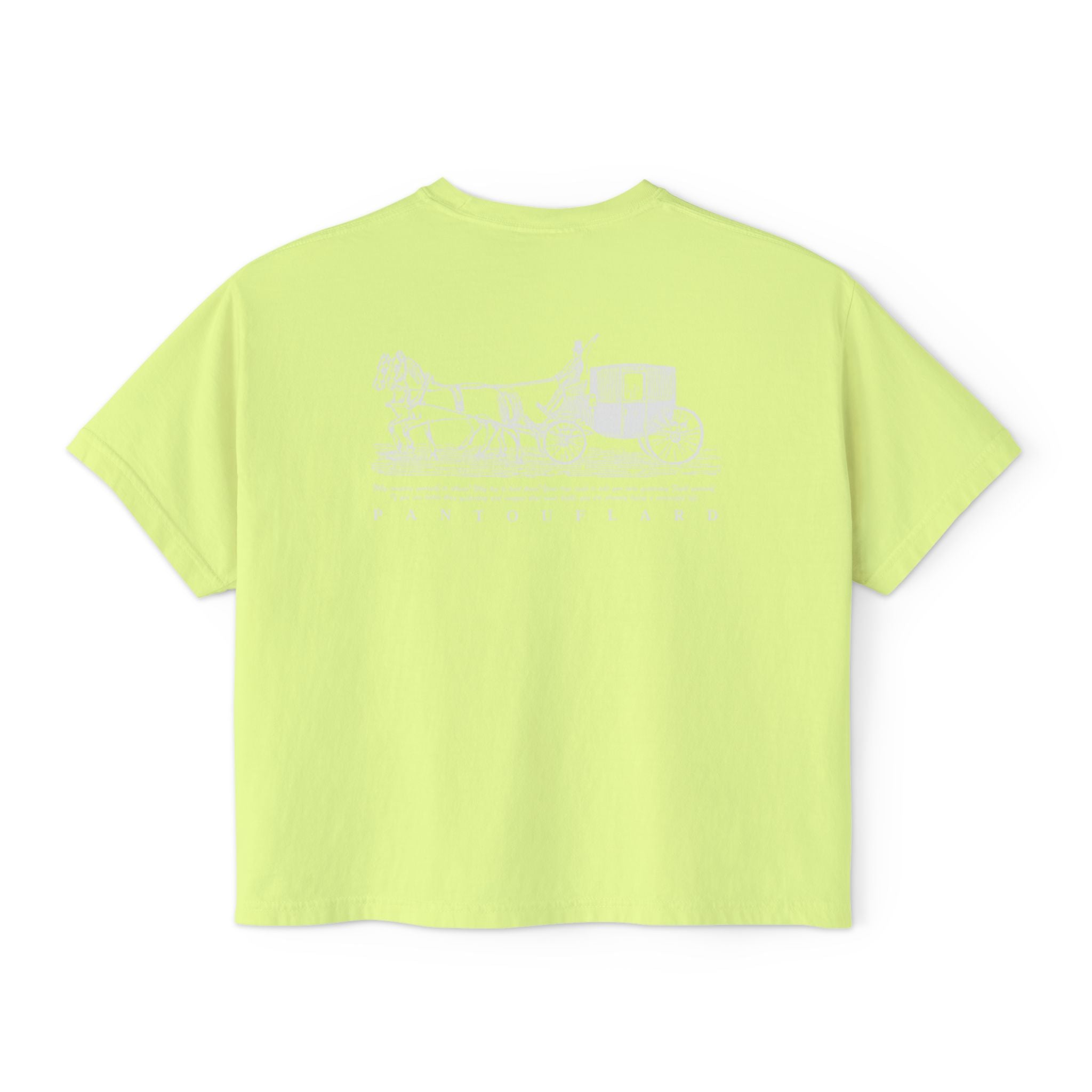 Old Money Equestrian Boxy Tee - The Timeless Carriage II (Comfort Colors 3023CL Back Print)