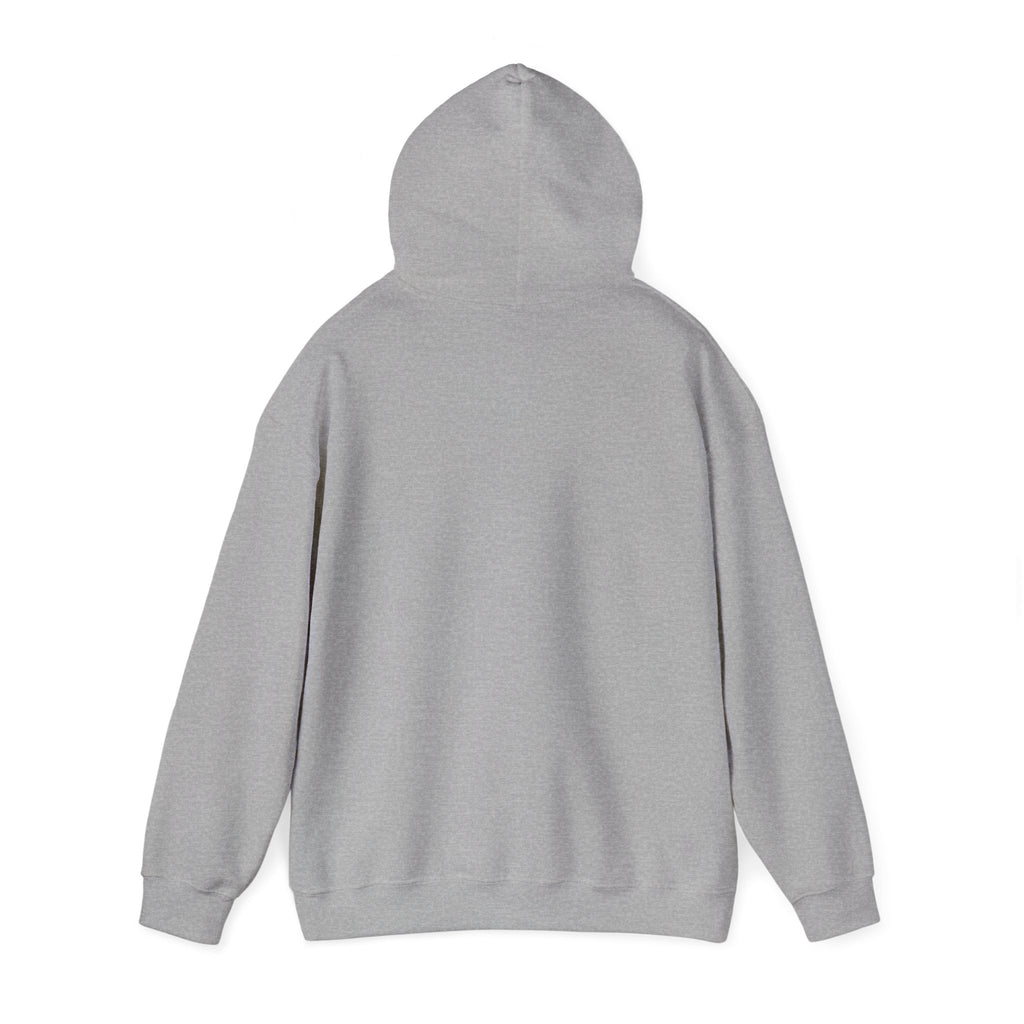 Kitsch Kawaii Chick & Worm Graphic Hoodie - The Quiet Victory (Aesthetic Streetwear Fleece)