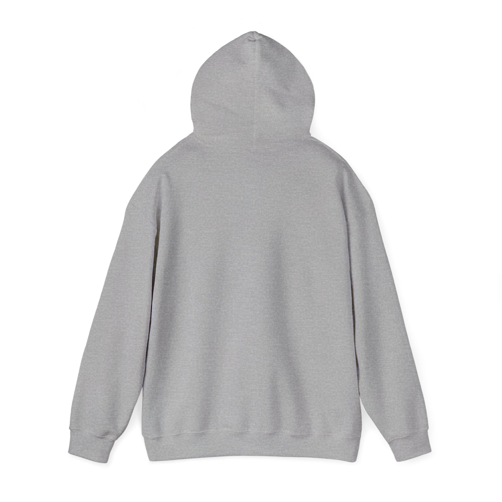 Kitsch Kawaii Chick & Worm Graphic Hoodie - The Quiet Victory (Aesthetic Streetwear Fleece)