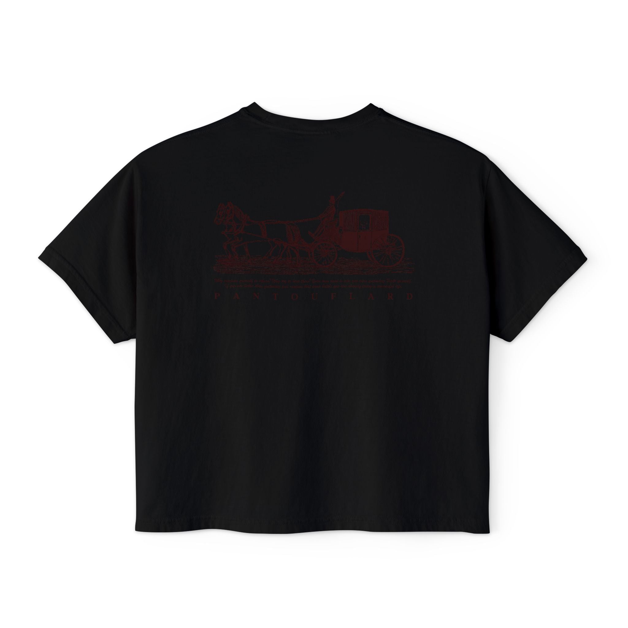 Old Money Equestrian Boxy Tee - The Timeless Carriage I (Comfort Colors 3023CL Back Print)