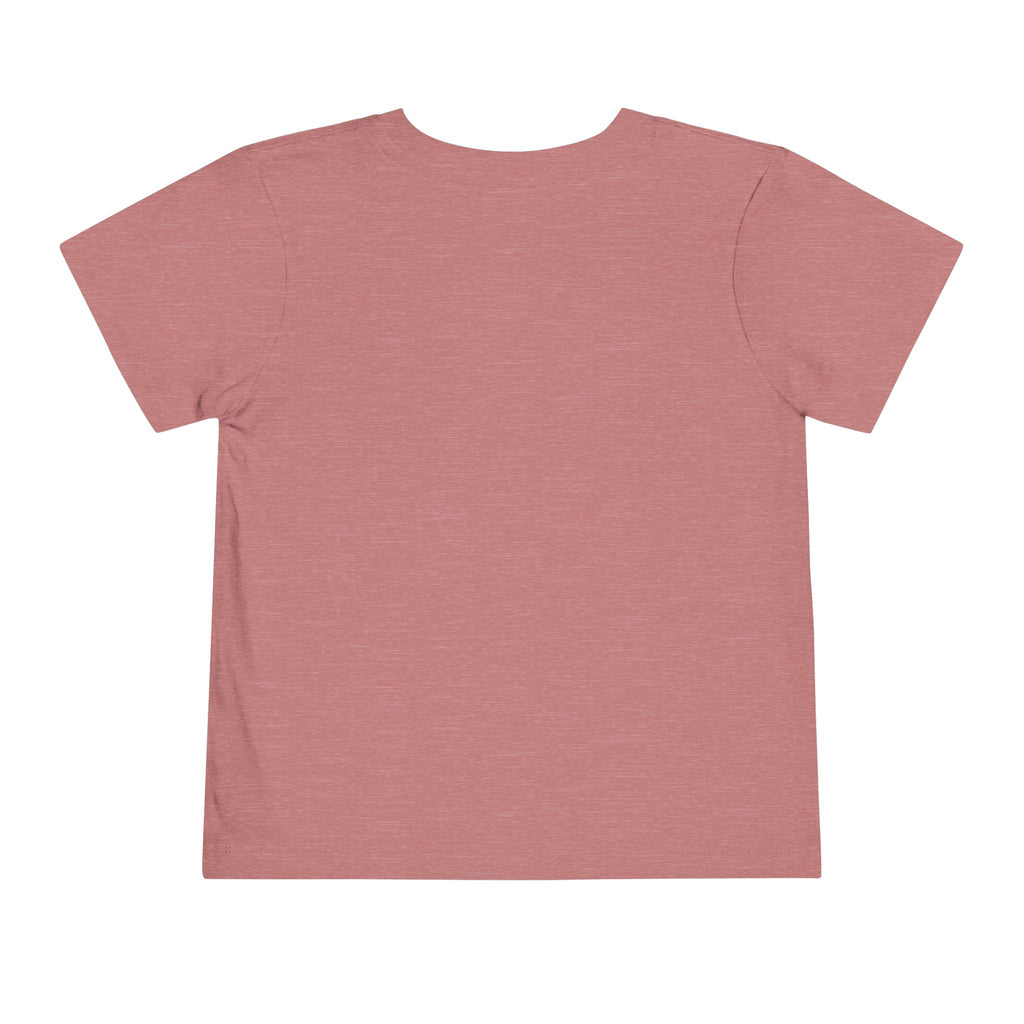 Toddler Boys' & Girls' Premium Soft Cotton T-Shirt - Airlume Jersey Short Sleeve Tee