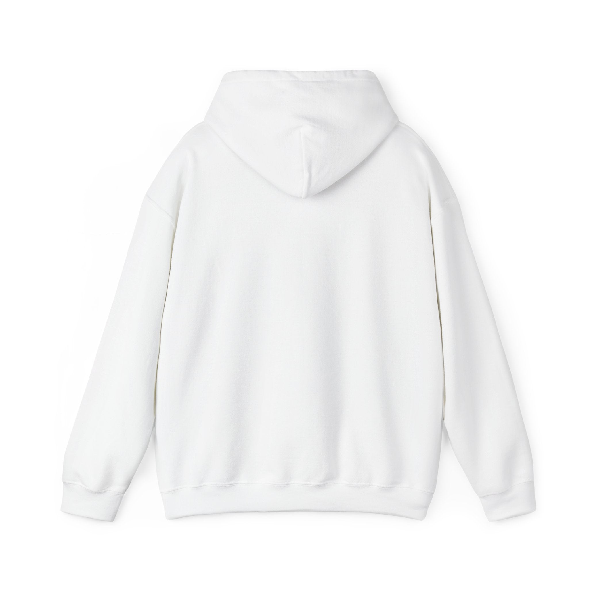 Kitsch Kawaii Chick & Worm Graphic Hoodie - The Quiet Victory (Aesthetic Streetwear Fleece)