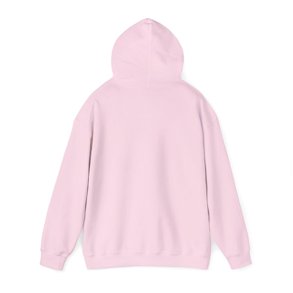 Kitsch Kawaii Chick & Worm Graphic Hoodie - The Quiet Victory (Aesthetic Streetwear Fleece)