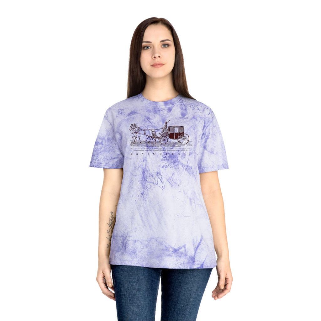 Unisex Grey Color Blast Vintage Carriage Graphic 100% Cotton T-Shirt