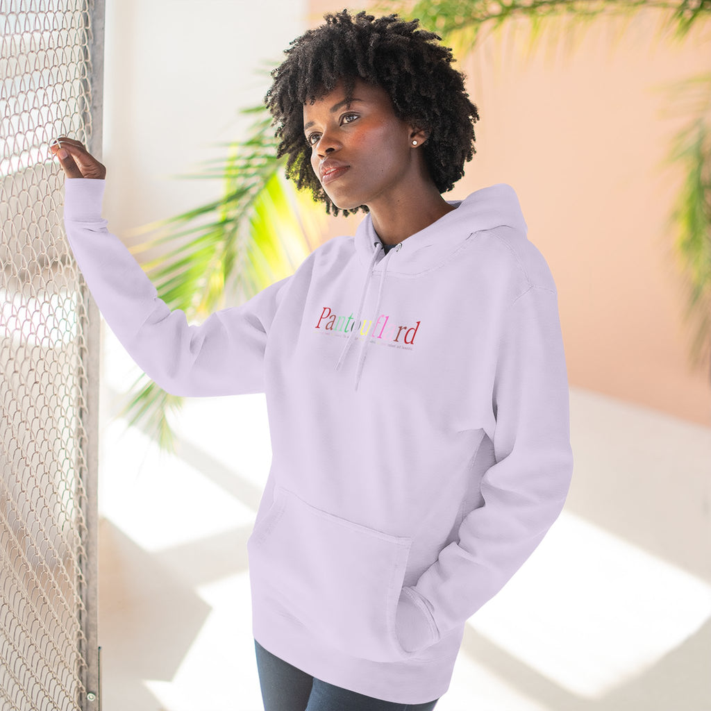Old Money Aesthetic Premium Hoodie - Pantouflard Colorful Logo (Lane Seven 3-End Fleece)