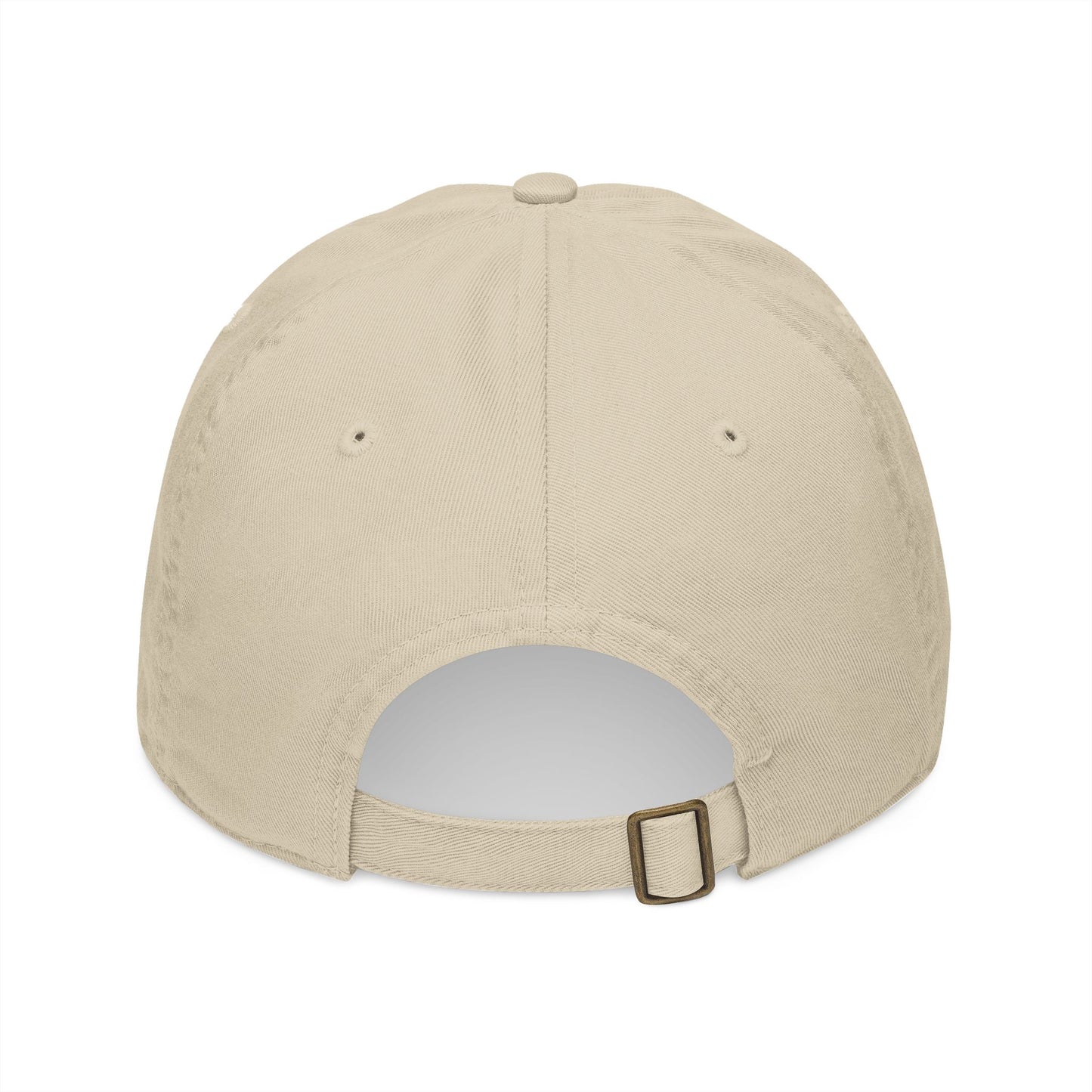 Gorra de béisbol orgánica bordada, sombrero casual para el sol, regalo para él/ella, sombrerería ecológica, accesorio de verano, equipo para deportes al aire libre