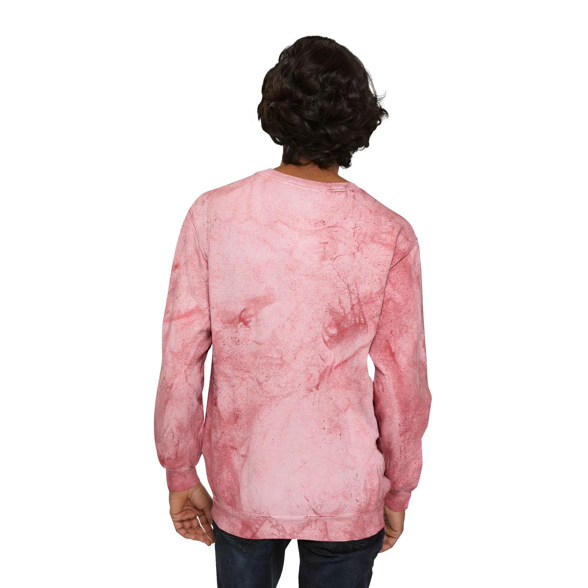 Old Money Equestrian Mineral Wash Crewneck - The Timeless Carriage II (Comfort Colors Color Blast)