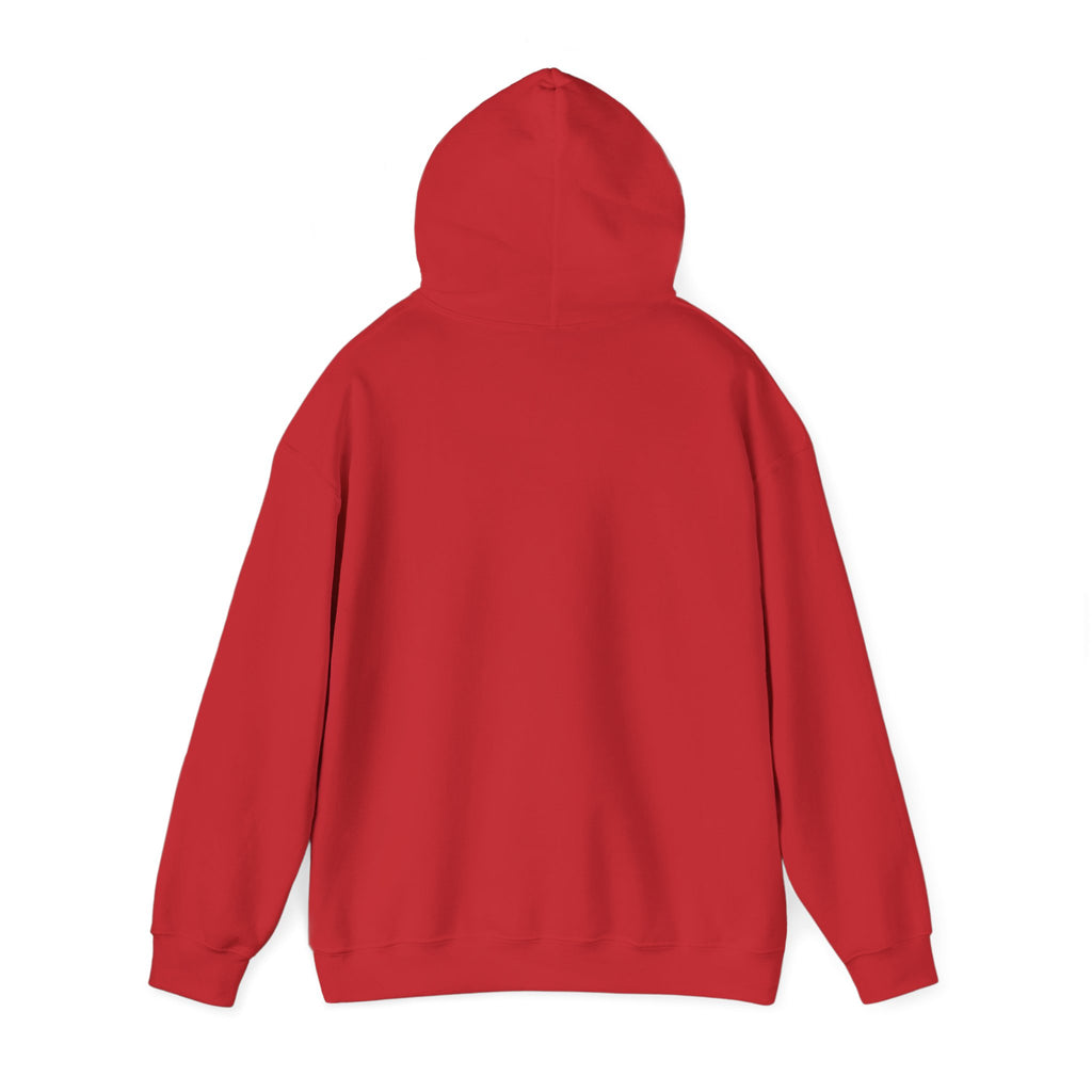 Kitsch Kawaii Chick & Worm Graphic Hoodie - The Quiet Victory (Aesthetic Streetwear Fleece)