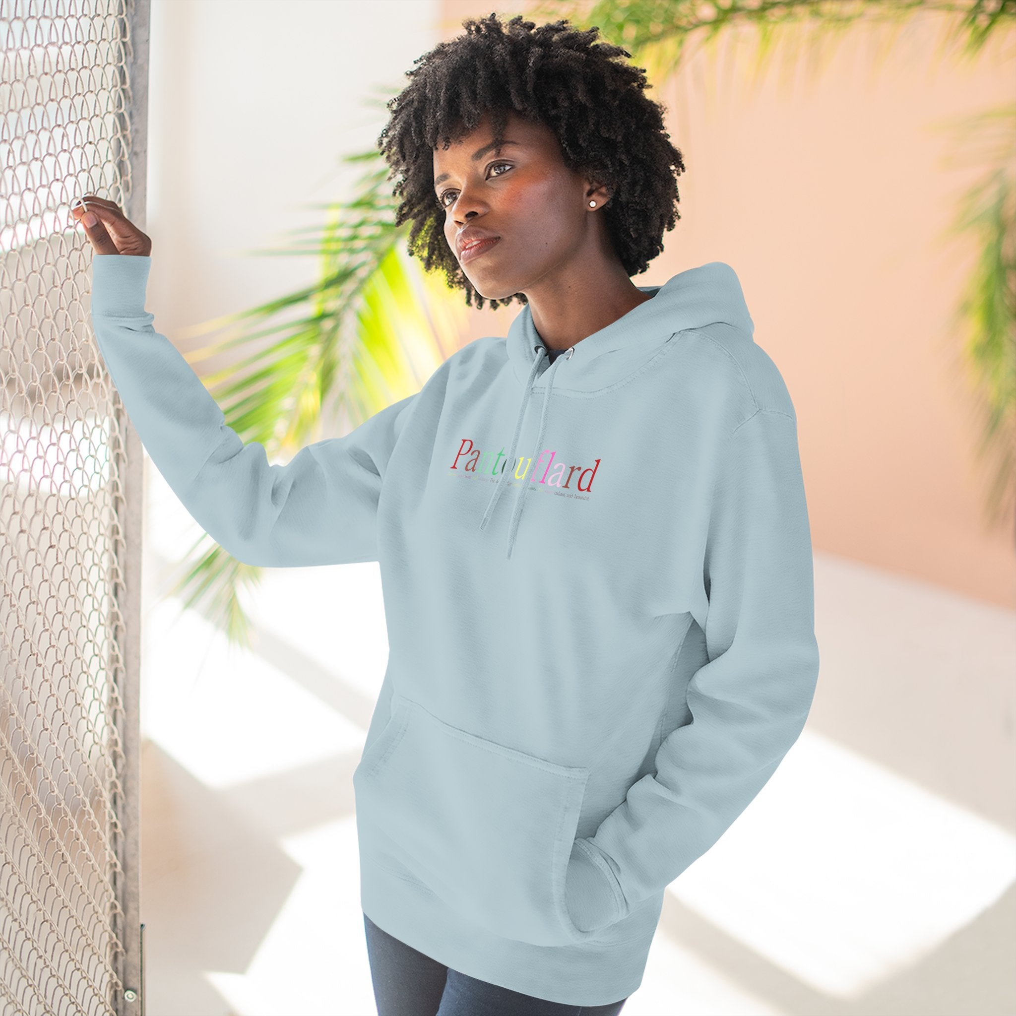 Old Money Aesthetic Premium Hoodie - Pantouflard Colorful Logo (Lane Seven 3-End Fleece)