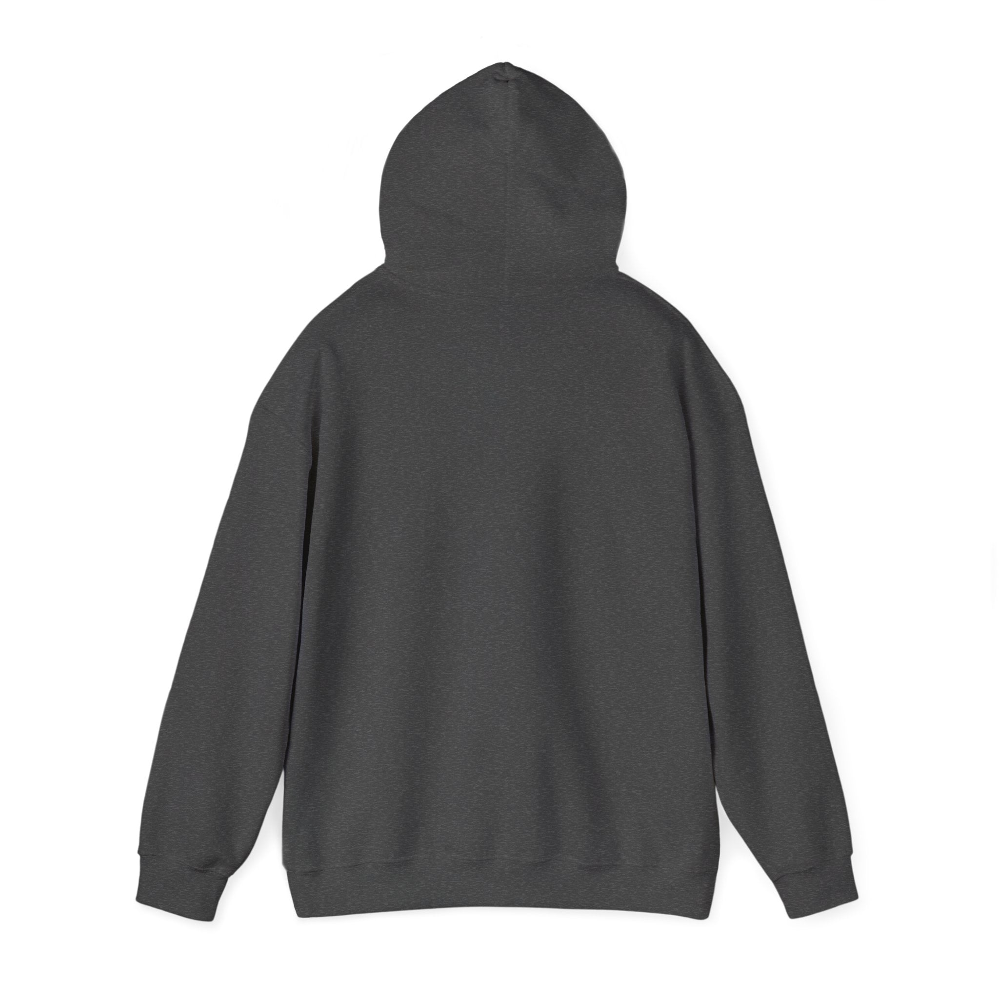 Kitsch Kawaii Chick & Worm Graphic Hoodie - The Quiet Victory (Aesthetic Streetwear Fleece)