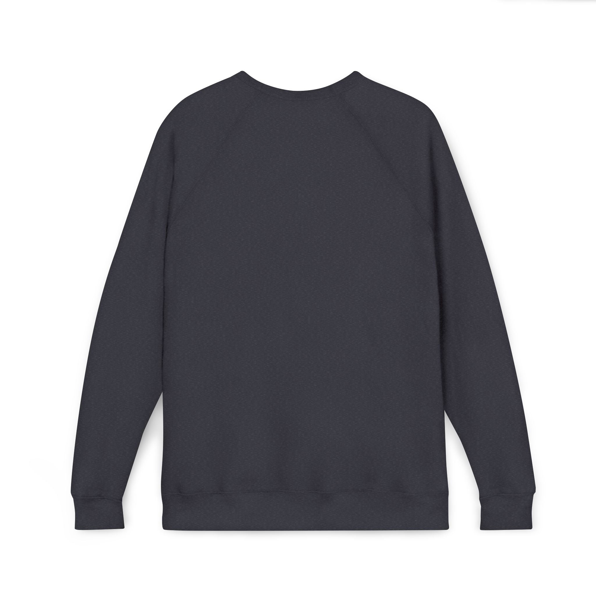 Unisex Old Money Aesthetic Raglan Sweatshirt - Colorful Logo (Premium Sponge Fleece)