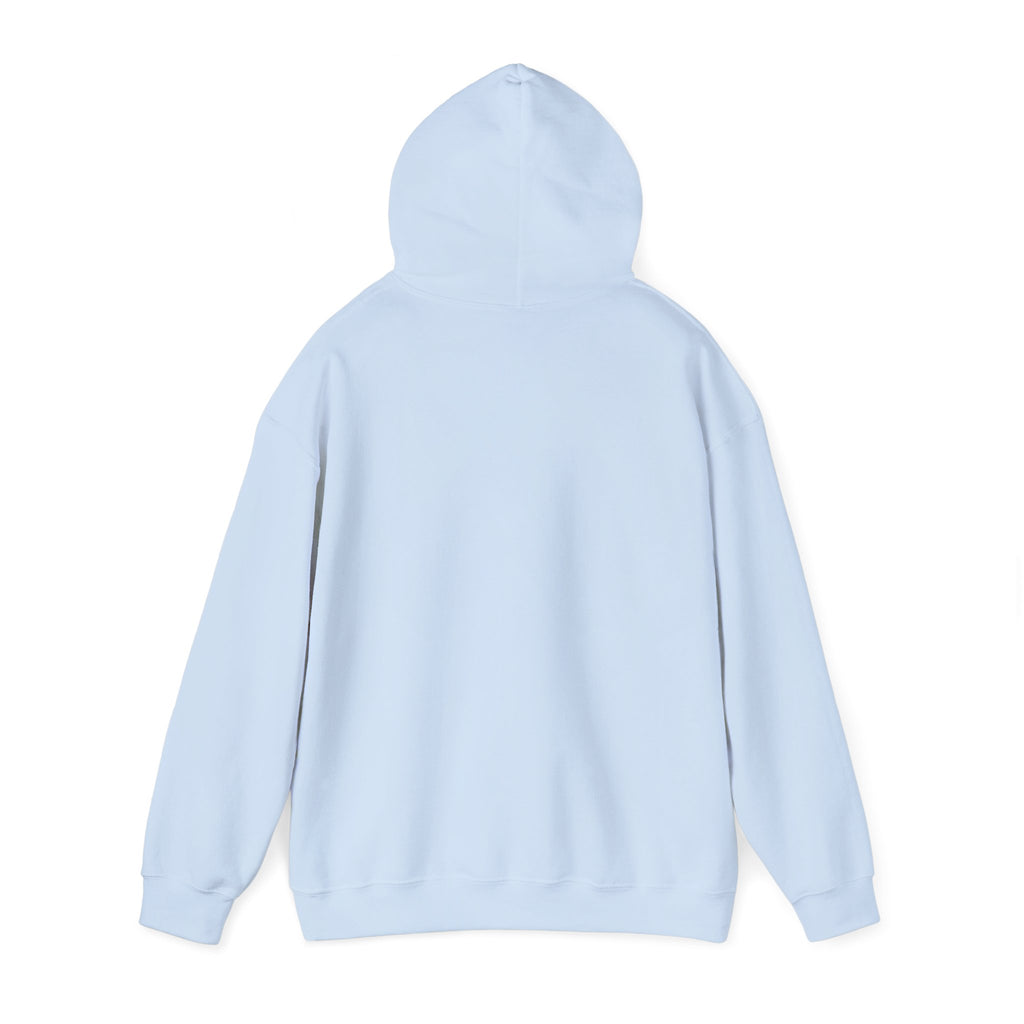 Kitsch Kawaii Chick & Worm Graphic Hoodie - The Quiet Victory (Aesthetic Streetwear Fleece)