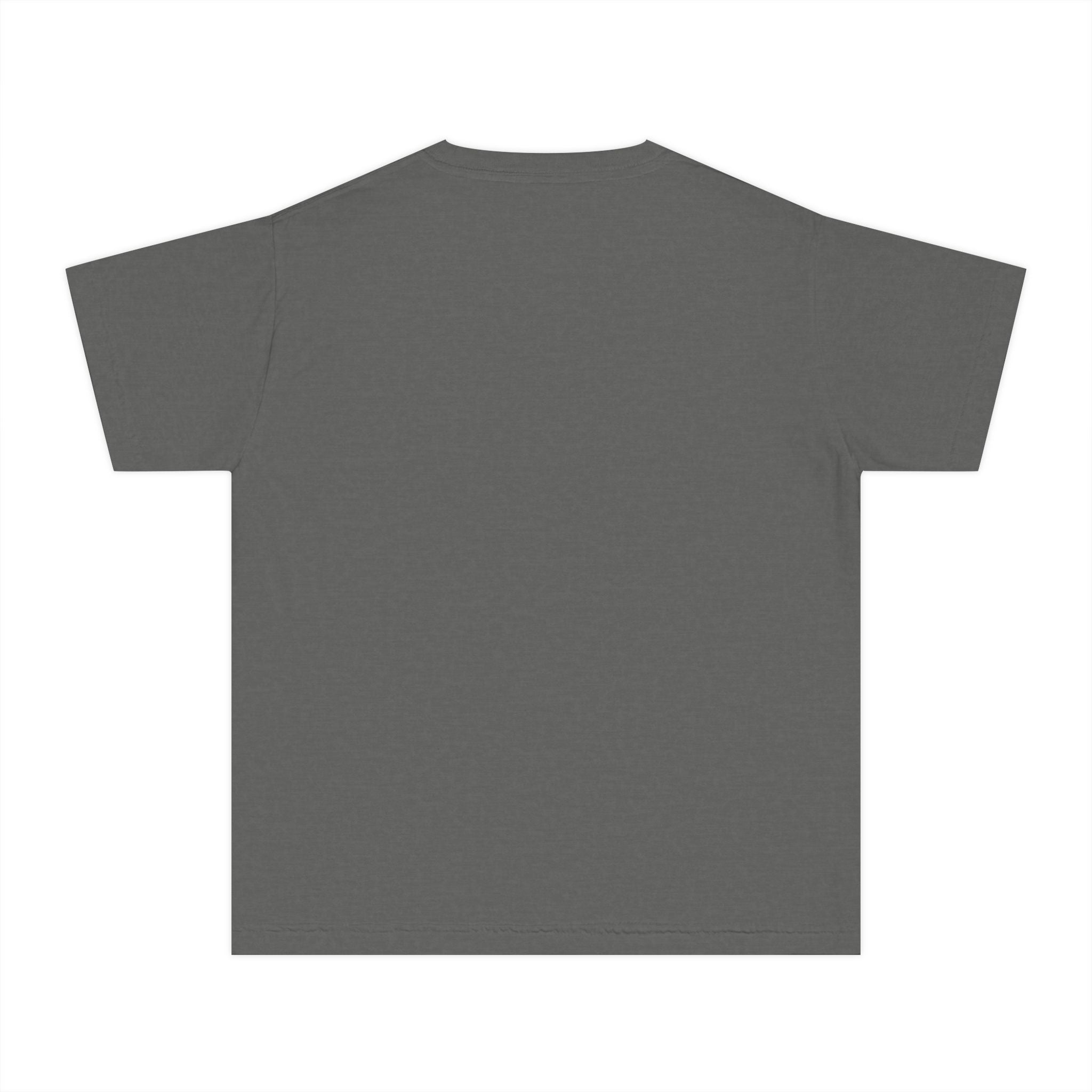 Old Money Equestrian Youth Tee - The Timeless Carriage I (Comfort Colors 9018 Heritage Kids Shirt)