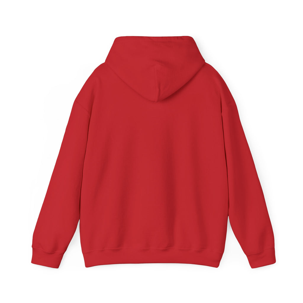 Kitsch Kawaii Chick & Worm Graphic Hoodie - The Quiet Victory (Aesthetic Streetwear Fleece)