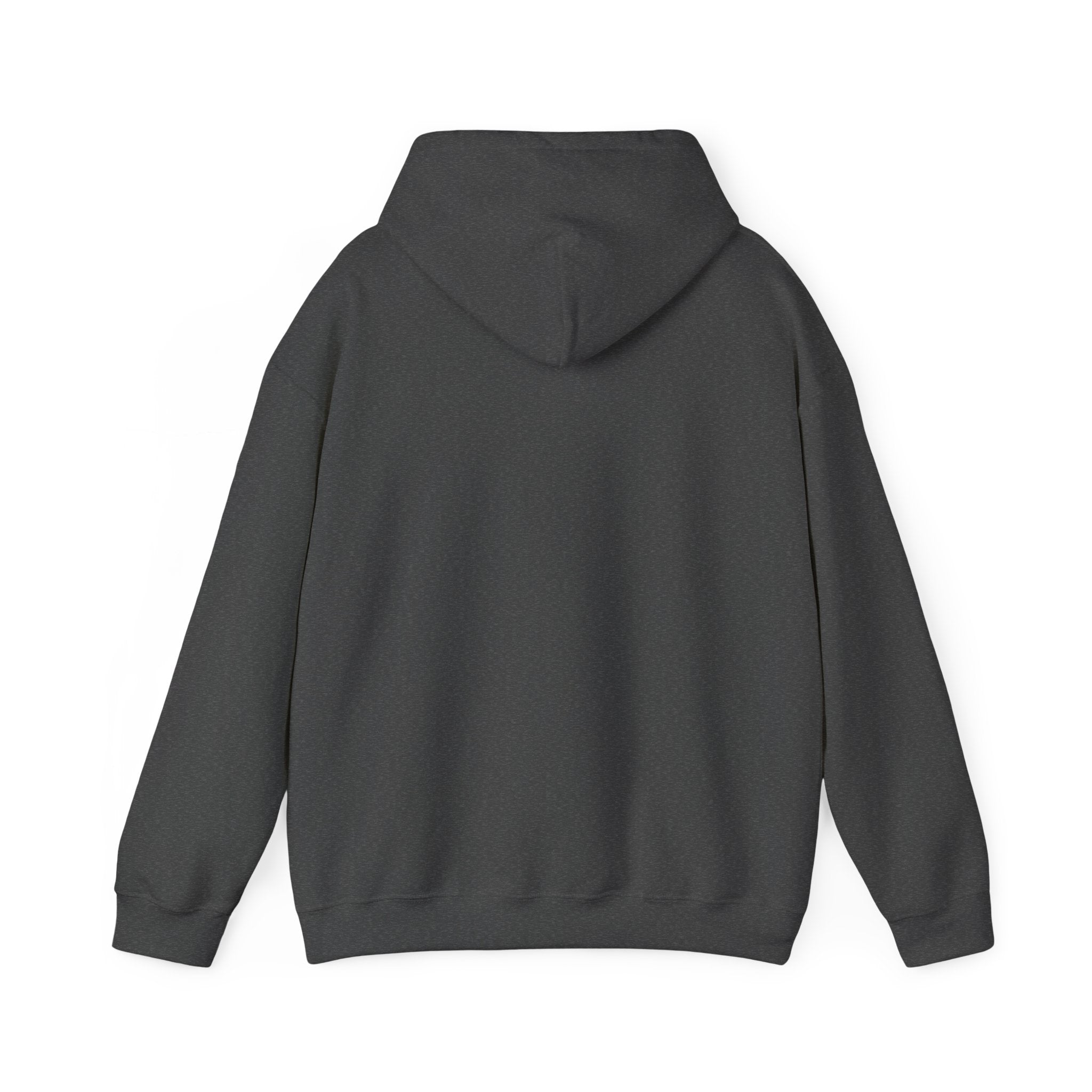 Kitsch Kawaii Chick & Worm Graphic Hoodie - The Quiet Victory (Aesthetic Streetwear Fleece)