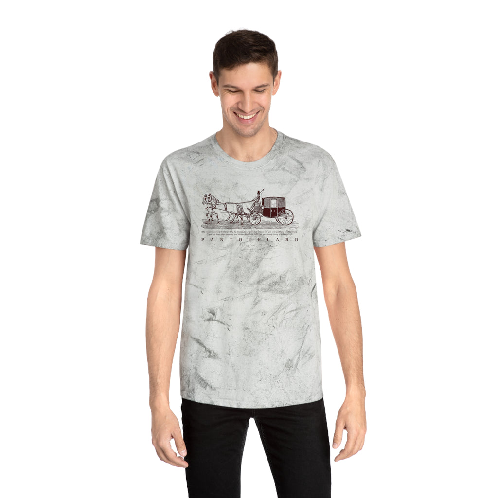 Unisex Grey Color Blast Vintage Carriage Graphic 100% Cotton T-Shirt