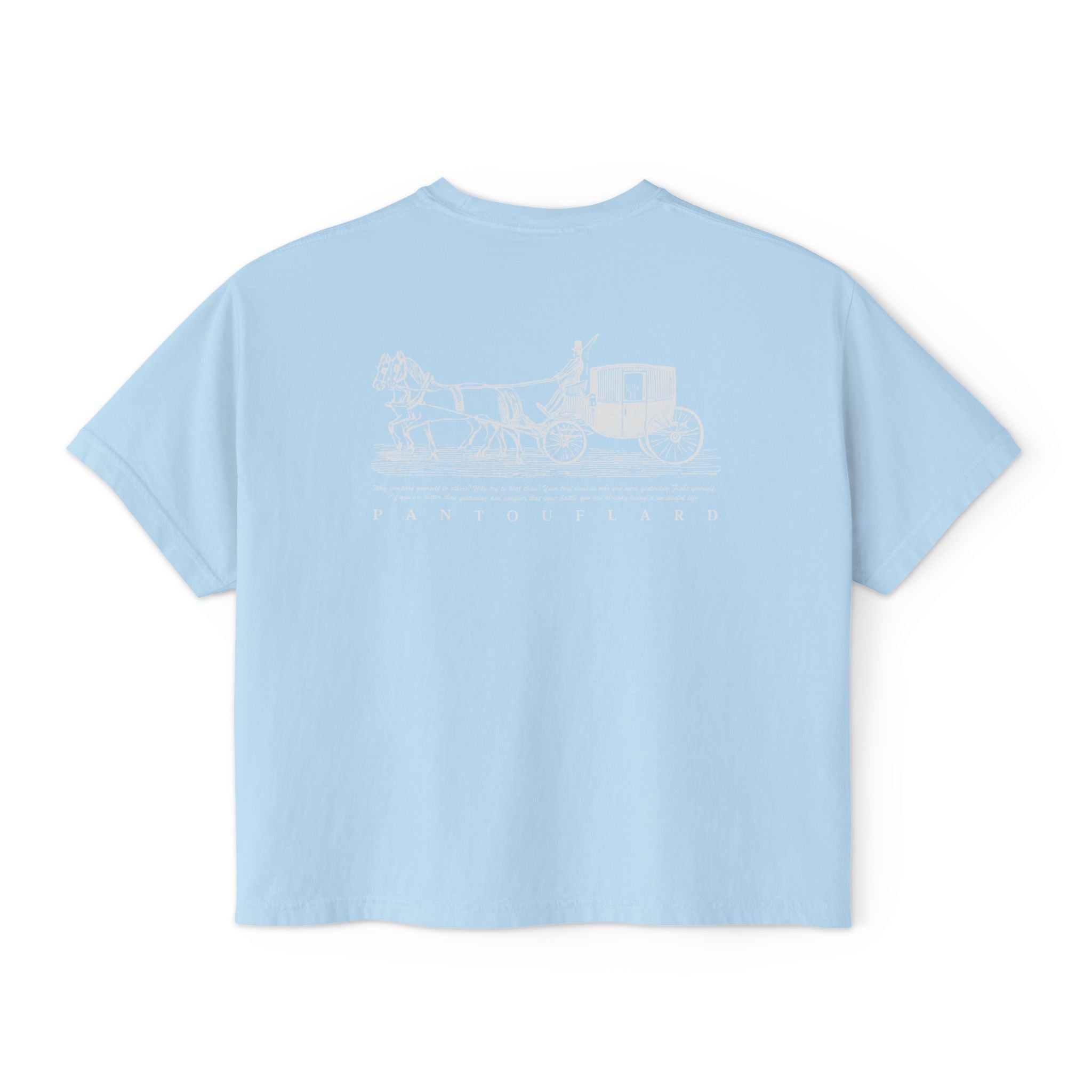 Old Money Equestrian Boxy Tee - The Timeless Carriage II (Comfort Colors 3023CL Back Print)