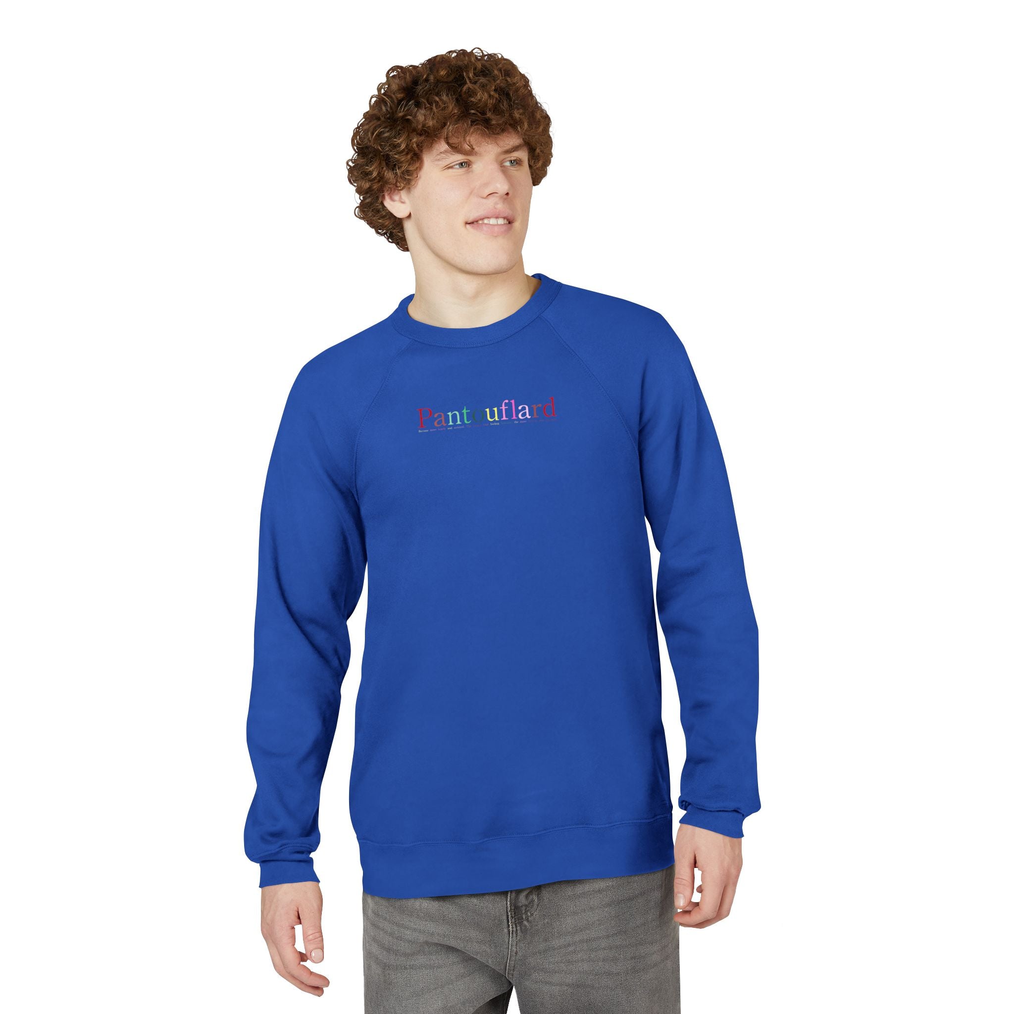 Unisex Old Money Aesthetic Raglan Sweatshirt - Colorful Logo (Premium Sponge Fleece)