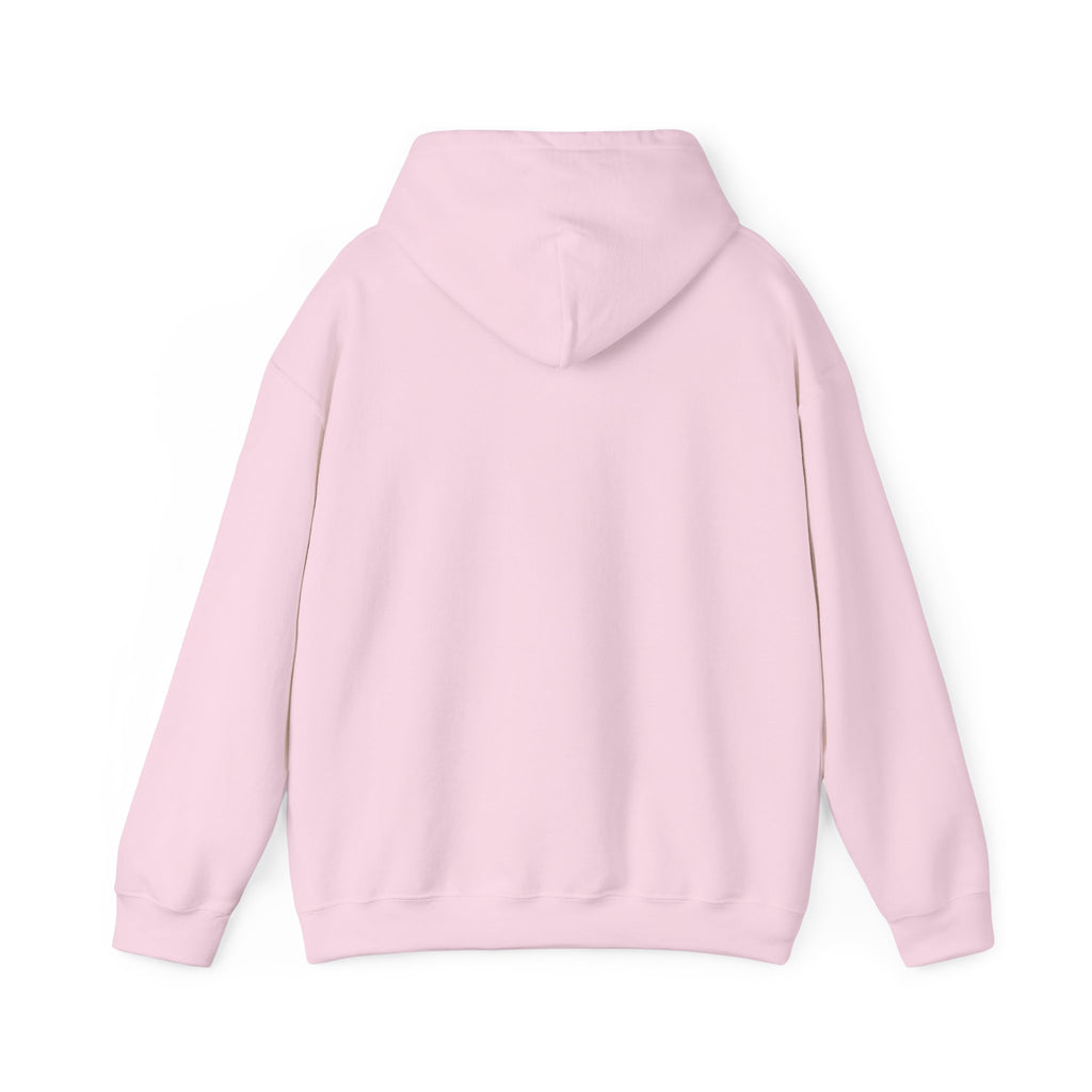 Kitsch Kawaii Chick & Worm Graphic Hoodie - The Quiet Victory (Aesthetic Streetwear Fleece)