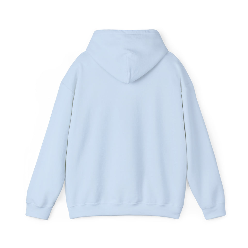 Kitsch Kawaii Chick & Worm Graphic Hoodie - The Quiet Victory (Aesthetic Streetwear Fleece)